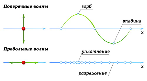 Виды волн, поперечные волны, продольные волны